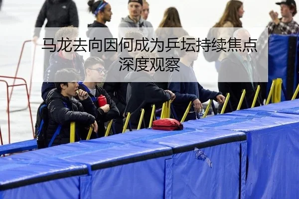 马龙去向因何成为乒坛持续焦点 深度观察